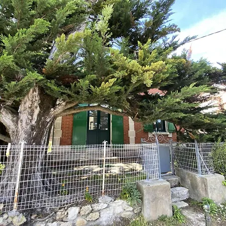 Villa 103-soulac Sur - 103 - Charmante Soulacaise Proche Des Plages Mae-8881 *